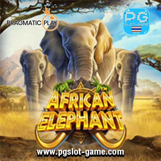 African Elephant ทดลองเล่นสล็อต Pragmatic Play เกมแตกบ่อย